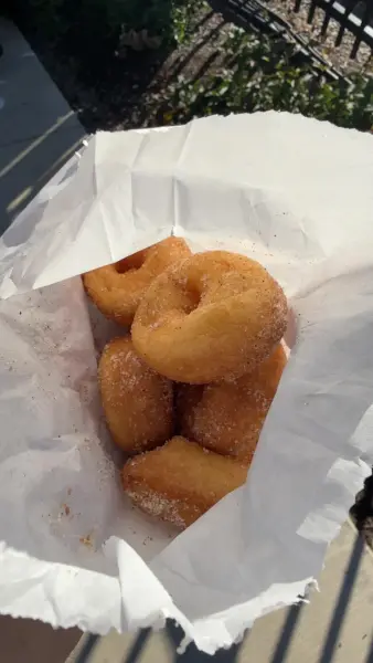 Half a dozen small cinnamon-sugar cider donuts in an open white paper bag